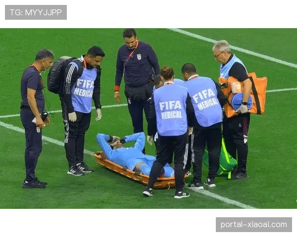 球迷投掷烟花致克雷莫纳门将奥代罗受伤，比赛一度中断